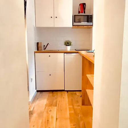 Le Pastore Avec Terrasse Au Coeur Du Centre Historique 디종