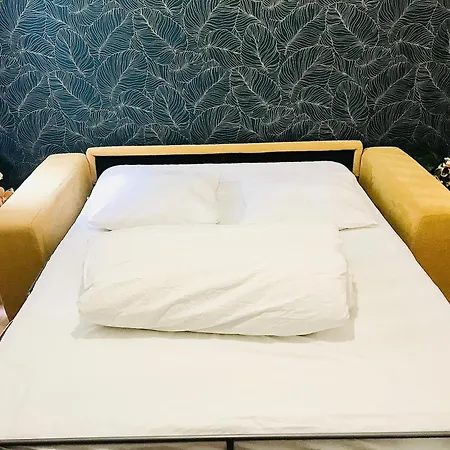 Le Pastore Avec Terrasse Au Coeur Du Centre Historique 아파트 디종